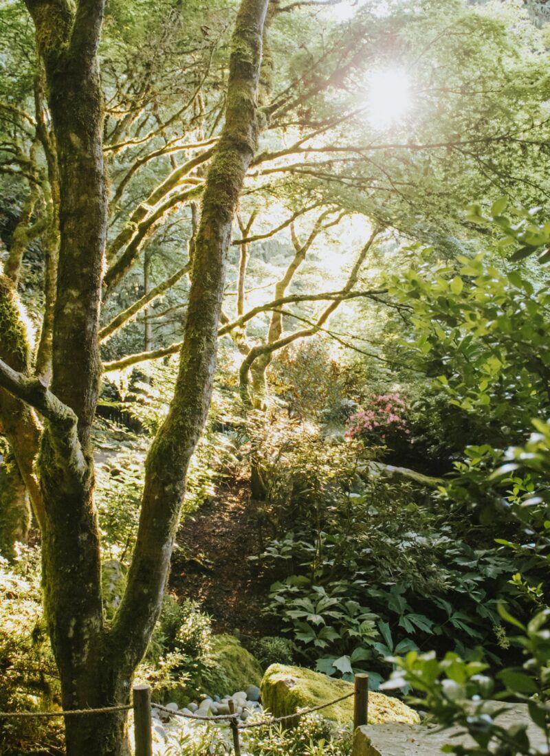 Truth: God called me out of darkness into His wonderful light | Lie: I am lost