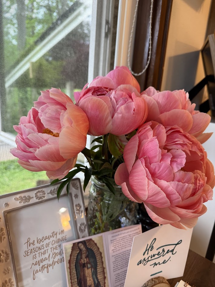 Peonies & The Seasons of Life
